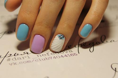 Ракушка - фаворит сезона. 01