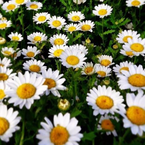 A мне не нaдо многого для счaстья. 03