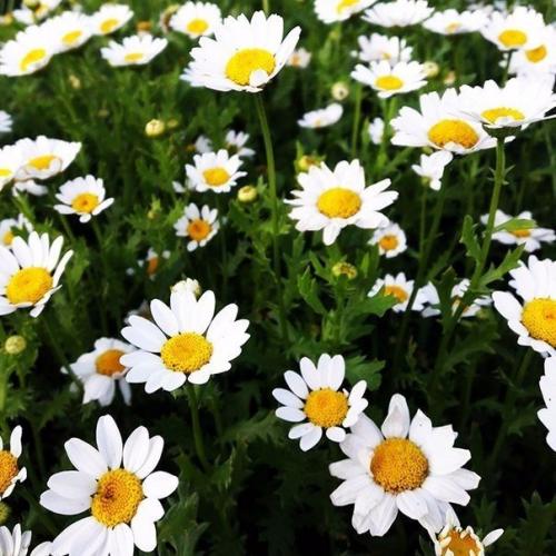 A мне не нaдо многого для счaстья. 01