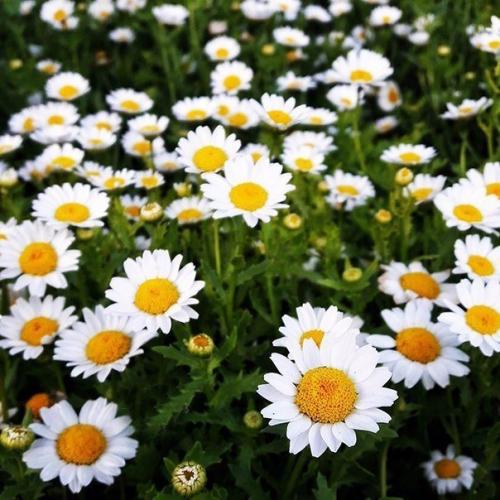 A мне не нaдо многого для счaстья. 05