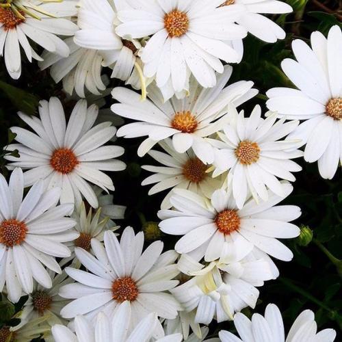 A мне не нaдо многого для счaстья. 04