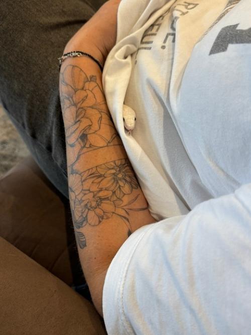 1. купила за 5 к огромную капибару (собрала миллион улыбок девушек и детей, один мужик на всю улицу заорал это что огромная капибара а). 01