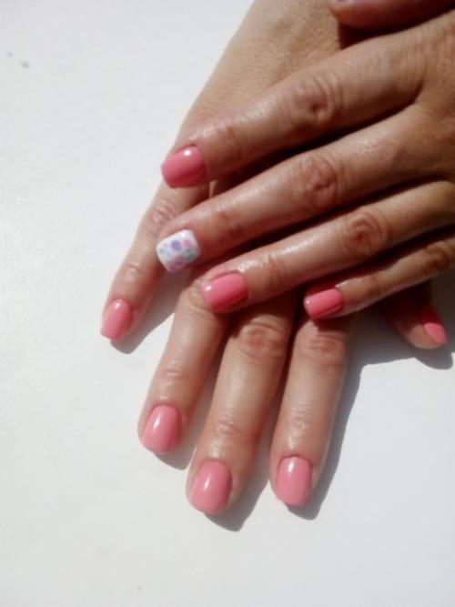 Доисторические насекомые в янтаре. 02