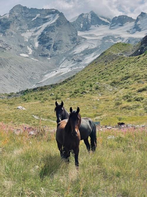 Пишу это, когда до дома остается еще километров 300, а уже как несколько дней хочется к собакам и на свой жесткий матрас. 01