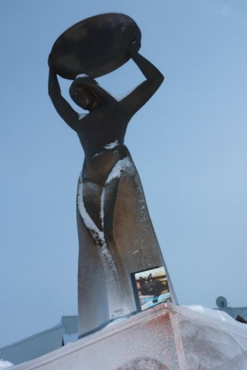 Очередной вояж кота Америку. 06