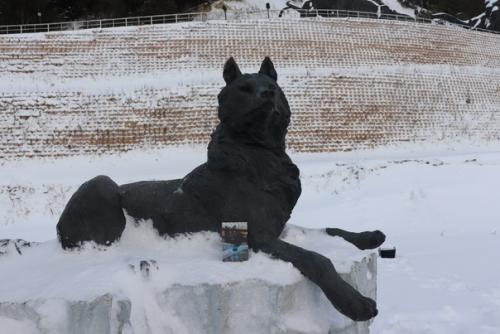 Очередной вояж кота Америку. 04