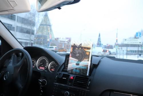 Очередной вояж кота Америку. 09