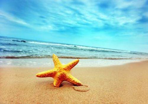 Как создать атмосферу отпуска прямо сейчас? 03