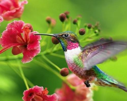 Как создать атмосферу отпуска прямо сейчас? 01