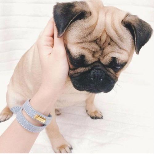 Как быстро отрастить ногти? 01 Как быстро отрастить ногти? 01