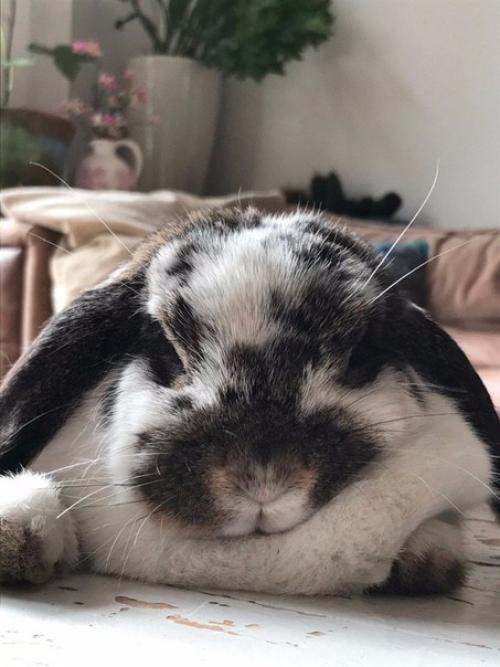 Как ухаживать за ногтями? 01 Как ухаживать за ногтями? 01