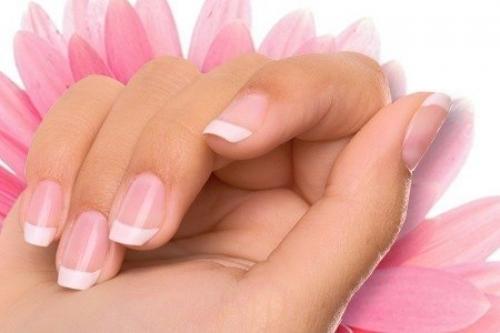 Как правильно ухаживать. 03 Как правильно ухаживать. 03