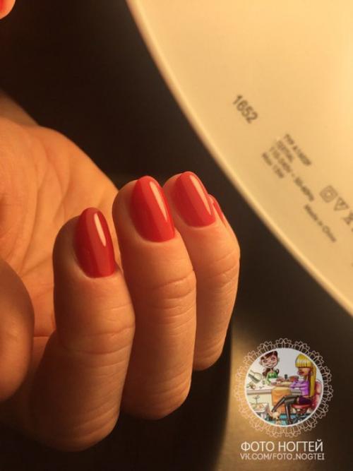 Можно критику прошла базовый курс комби маникюра с покрытием гель - лак в феврале. 05