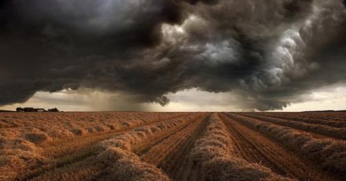 Грозовые поля.   61-Летний немецкий фотограф Франц Шумахер (Franz Schumacher) сфотографировал поля во время грозы. 05