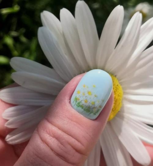 Какое лето без ромашек? 01