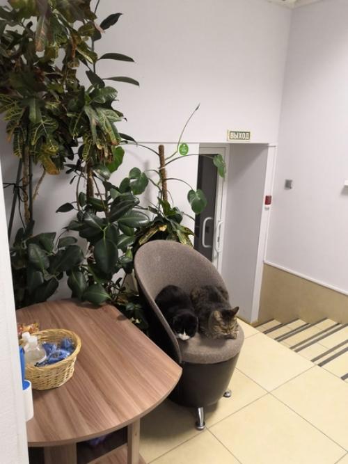 Па - бам) и вот оно, моё новое что-то сил уже нет, но начало положено! 02