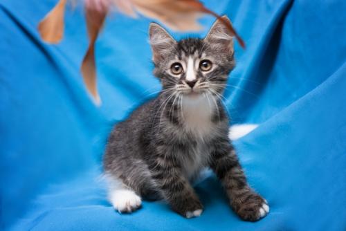 Москва и мо. 03 Москва и мо. 03