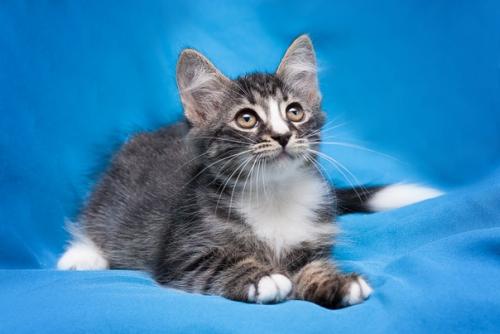 Москва и мо. 02 Москва и мо. 02