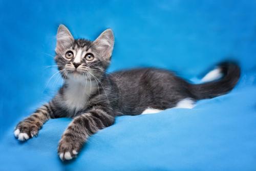 Москва и мо. 01 Москва и мо. 01